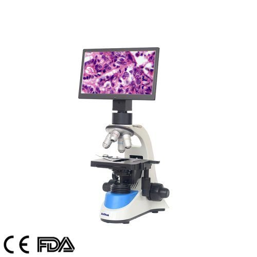 Digital Microscope With Video, MSC-V208