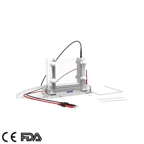 Vertical Electrophoresis Cell, GEP-VH-SCZ02