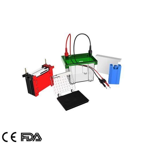 Mini Transfer Electrophoresis Tank, GEP-TH-ZY02