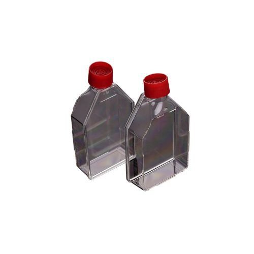 Cell Culture Flask